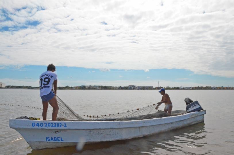 Inicia veda camaronera; advierten repunte de pesca furtiva en Ahome