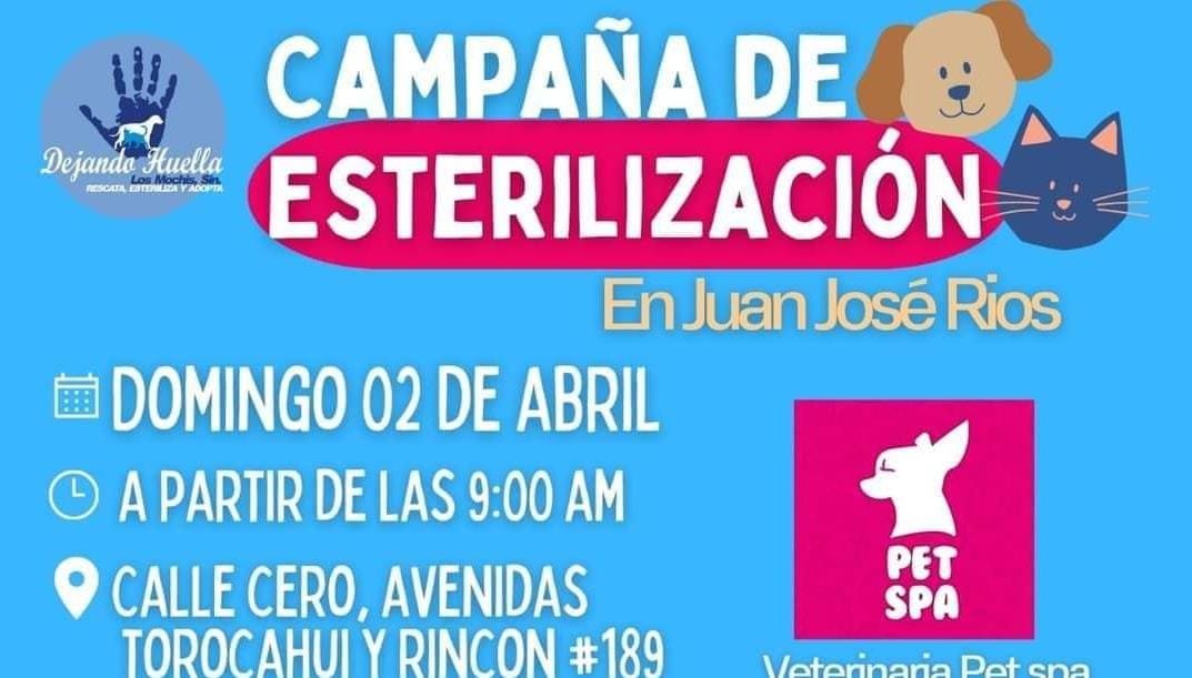 ¡Esteliriza a tu mascota!; Dejando Huella estará en Juan José Ríos