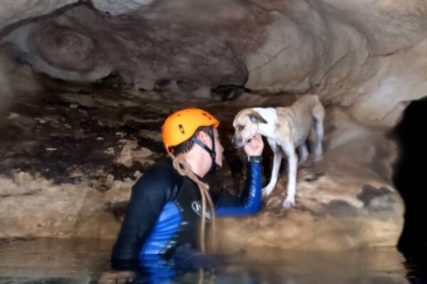 Perrita sobrevivió cuatro días en un cenote en Yucatán