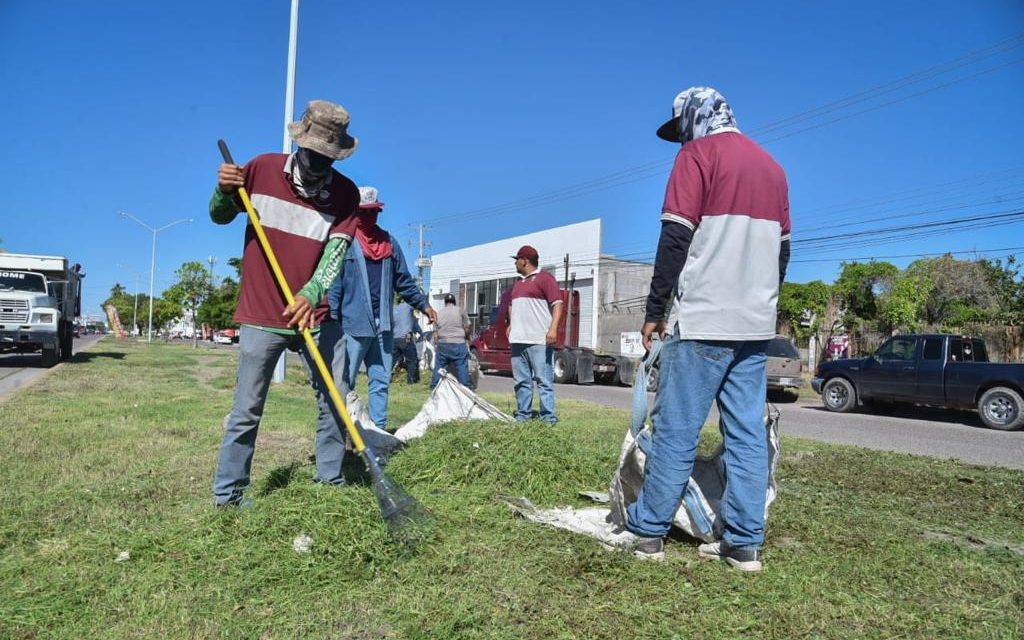 Trabajadores del Ayuntamiento avanzan 90% en limpieza de vía pública de Los Mochis y Parque Sinaloa.