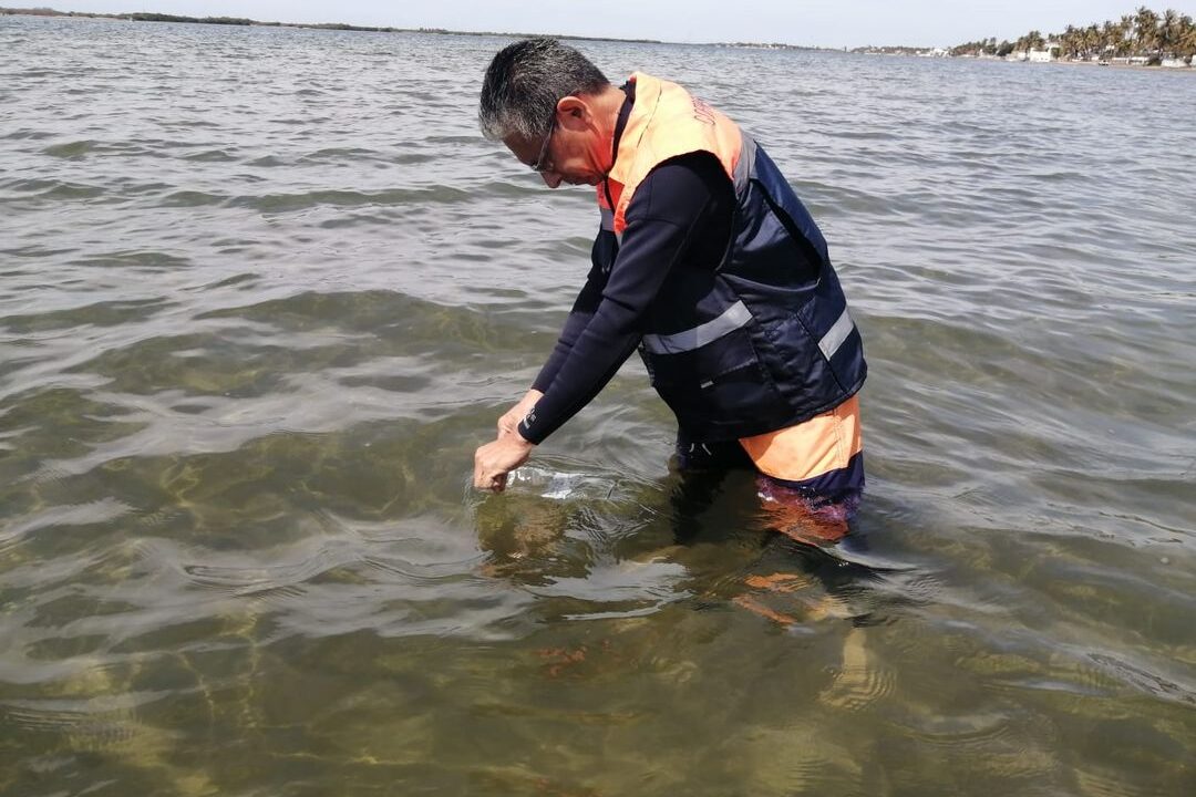 Playas de Sinaloa son aptas para uso recreativo: COEPRISS