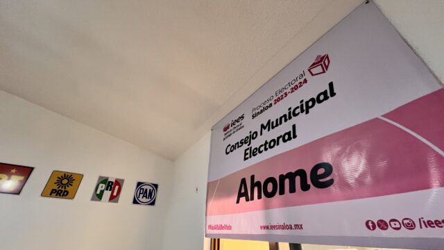 Consejo IEES
