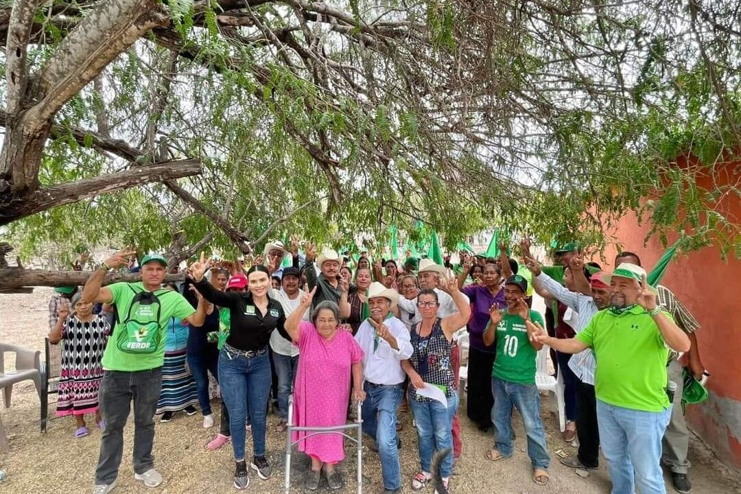 Producto de la Revolución, Las Panguitas y el Kilómetro 19 se pintan de verde