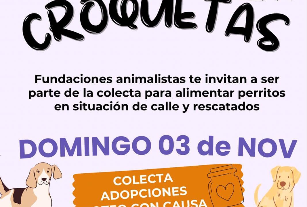 ¡Dona croquetas este 3 de noviembre!