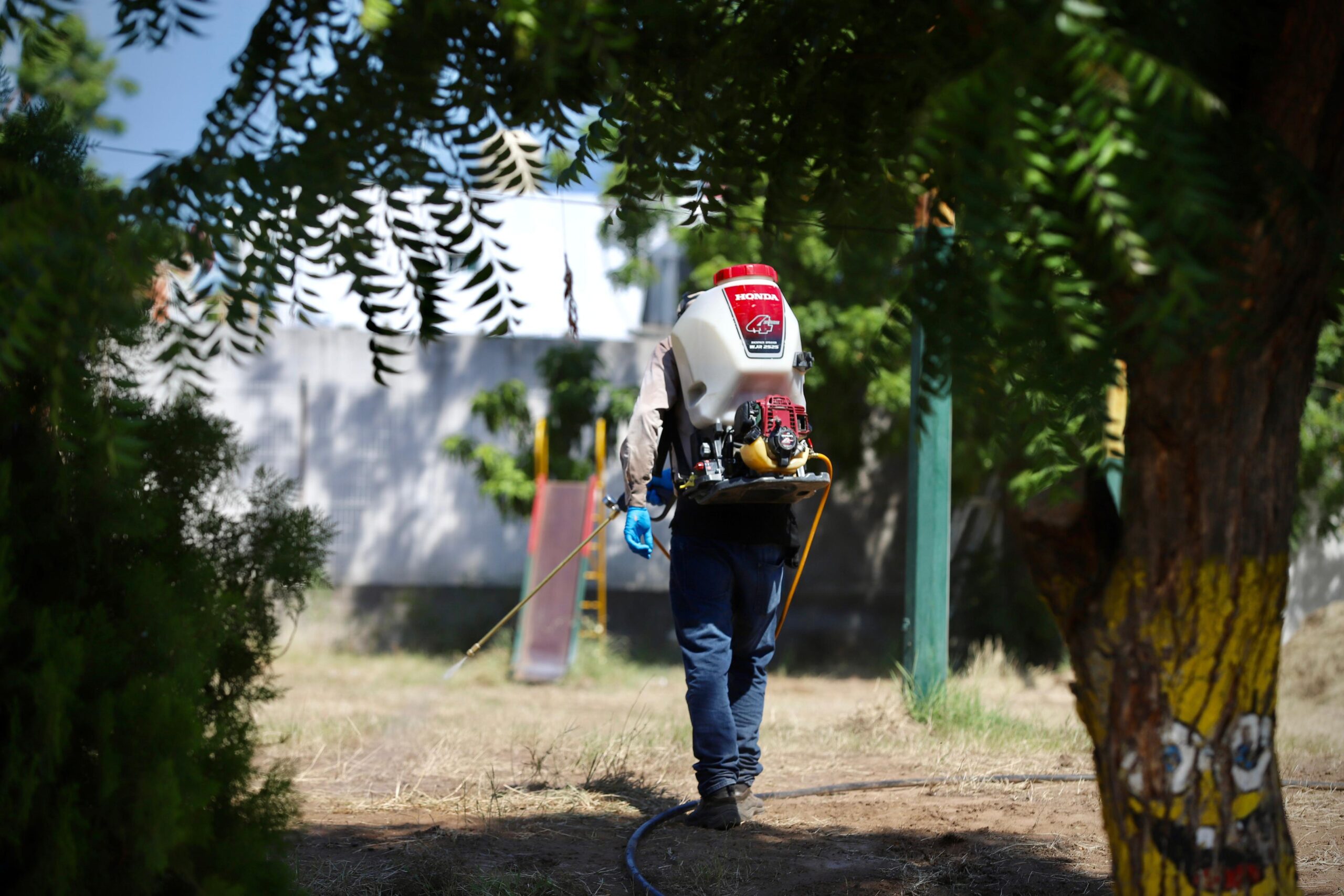 Salud dispersará 5 mdp para acciones contra el dengue en Sinaloa