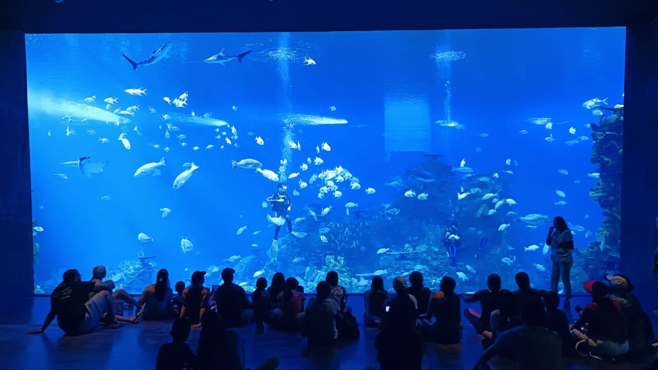 Gran Acuario Mazatlán entre los favoritos de turistas