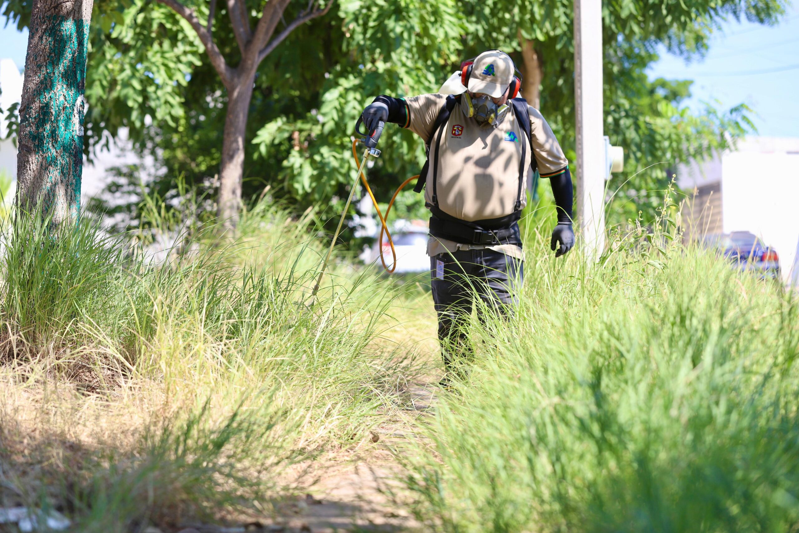 Sinaloa continuará trabajando en la contención del dengue: Cuitláhuac González