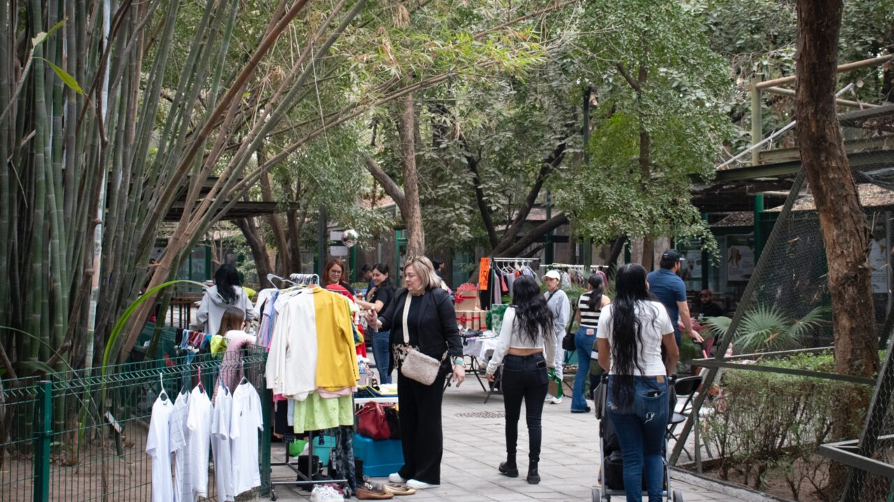Zoológico de Culiacán reúne a familias con bazar de emprendedores