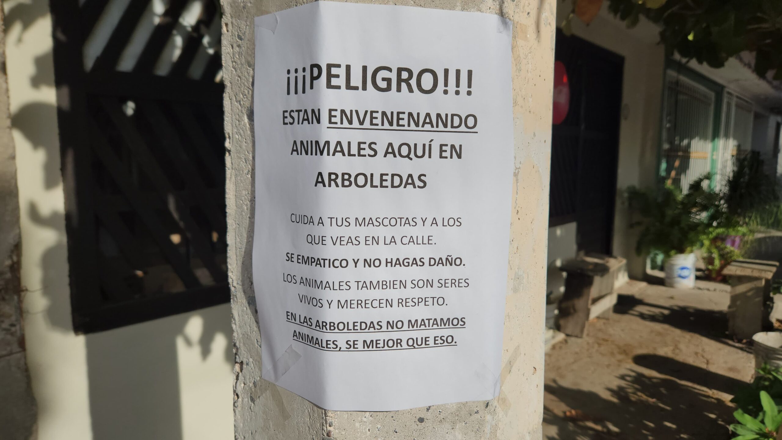 Alarma en el sector Arboledas: mascotas son envenenadas