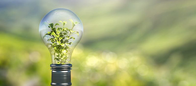 Sinaloa ante el reto de la energía limpia: avances y desafíos