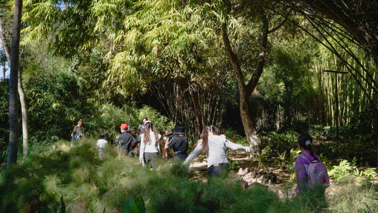 Invitan al ‘HoliFestival» en Jardín Botánico Culiacán