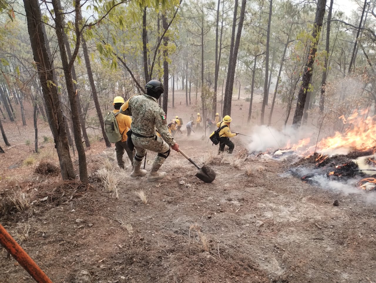 Se atienden incendios forestales en Concordia, se lleva un 70% controlado