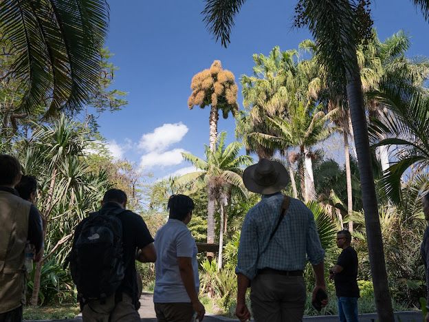 Estas son las actividades que puedes disfrutar en el Jardín Botánico de Culiacán durante mayo
