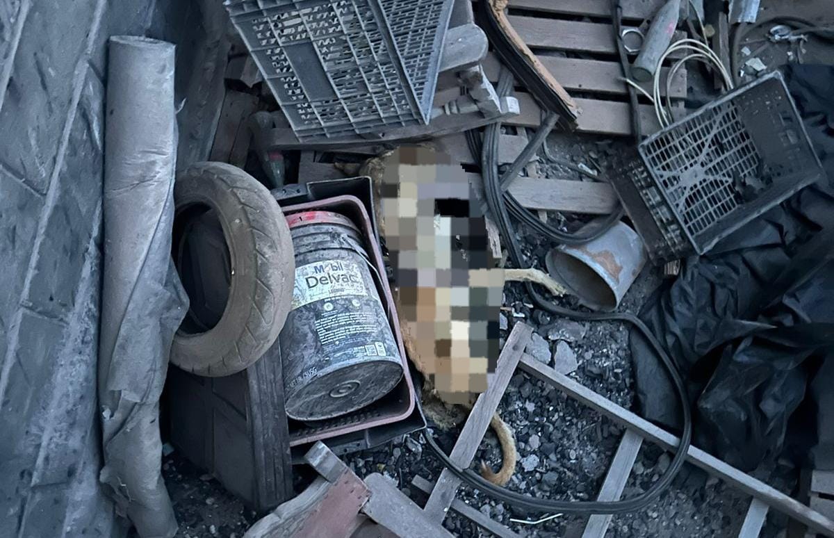 Vicefiscal desconoce qué tipo sentencia se aplicará a caso perrito abandonado en Cedros