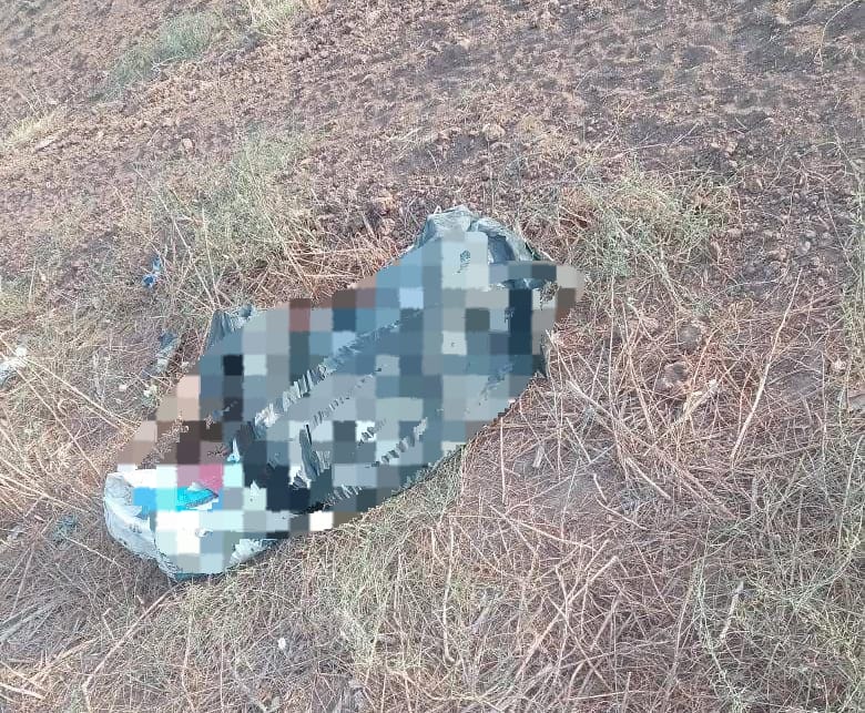 Autoridades Municipales y Fiscalía deben de mostrar más interes en casos de maltrato animal
