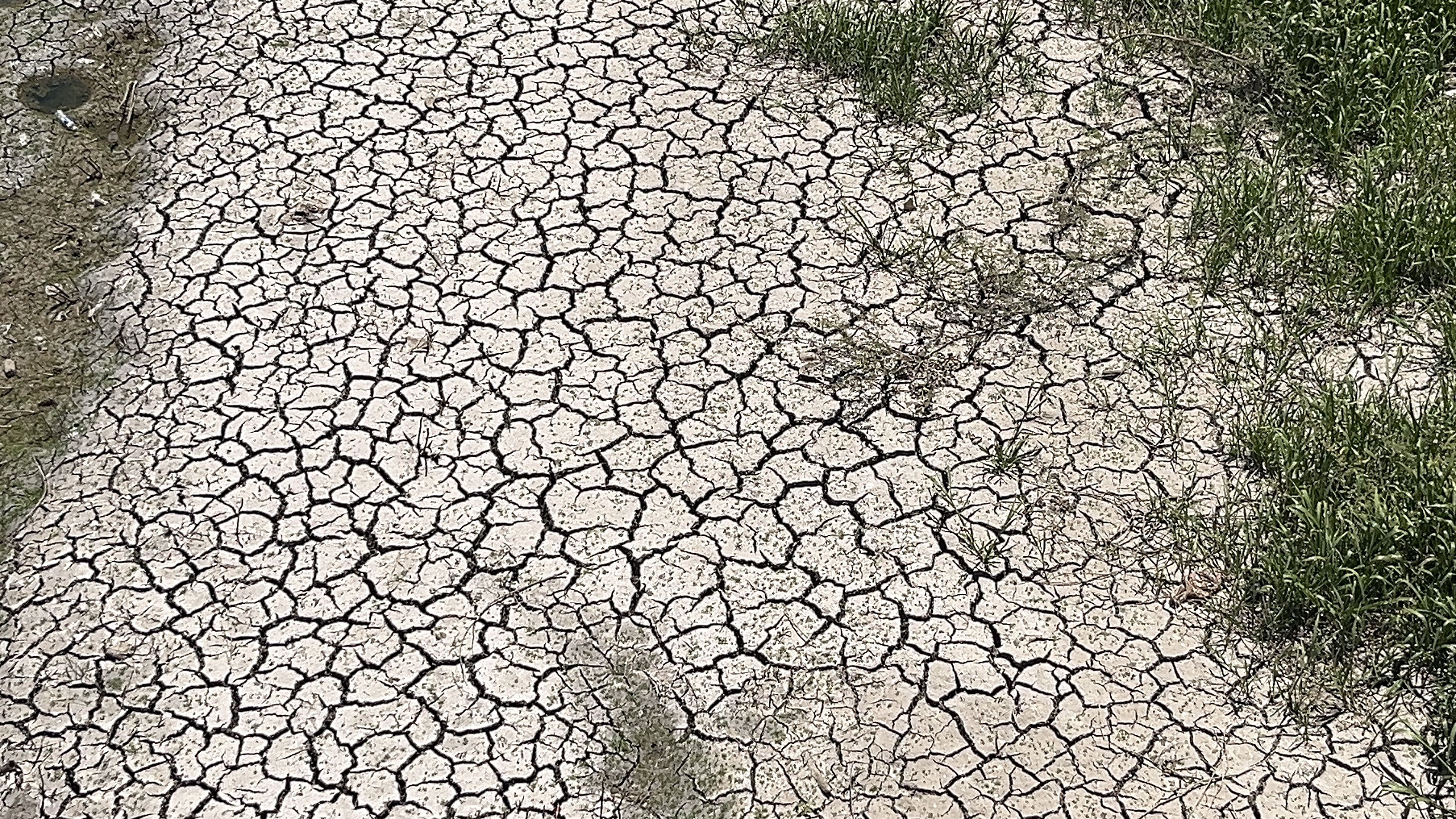 Sinaloa combate la sequía, habrá bombardeo de nubes: Castro Meléndrez