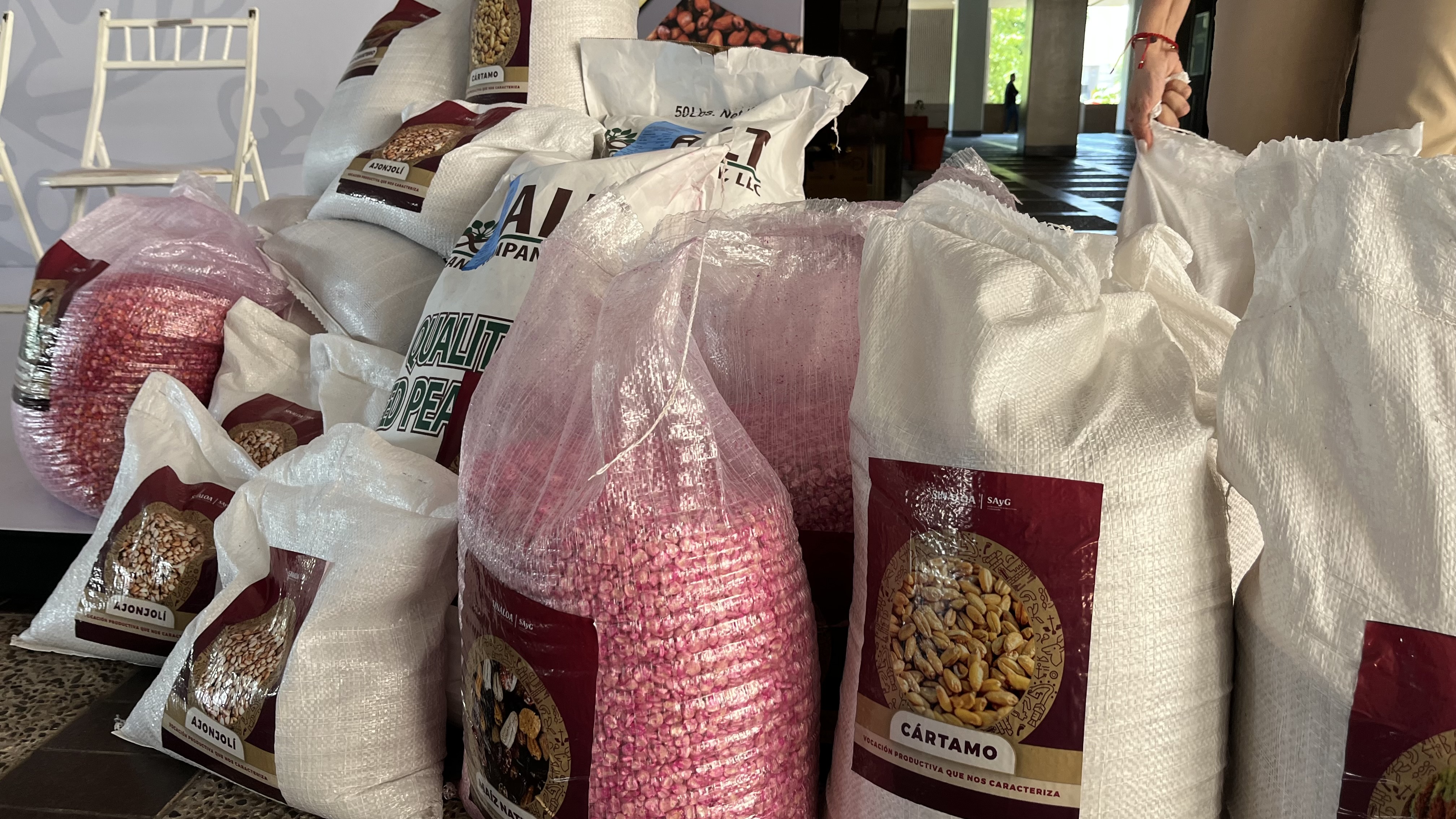 Entregan 35 MDP en semillas de temporal a productores sinaloenses