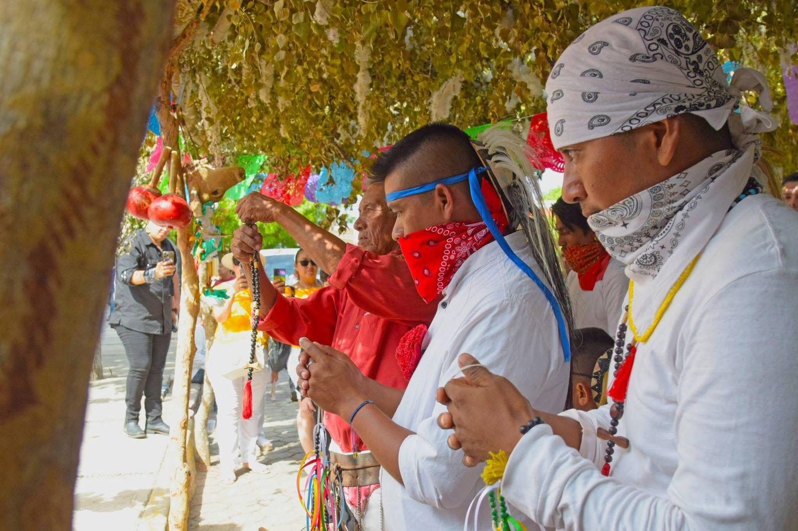 La fiesta de San Juan Bautista una tradición yoreme que sobrevive a los tiempos