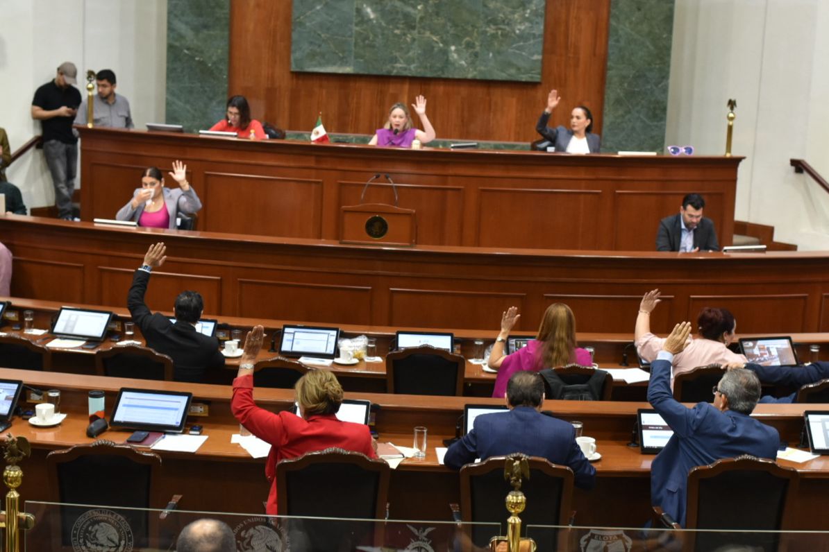 Plasma en la Constitución la obligatoriedad de brindarles protección y bienestar