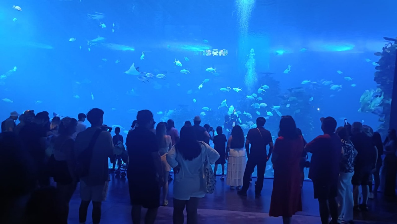¡Cierra el verano con una aventura inolvidable en el Gran Acuario Mazatlán!