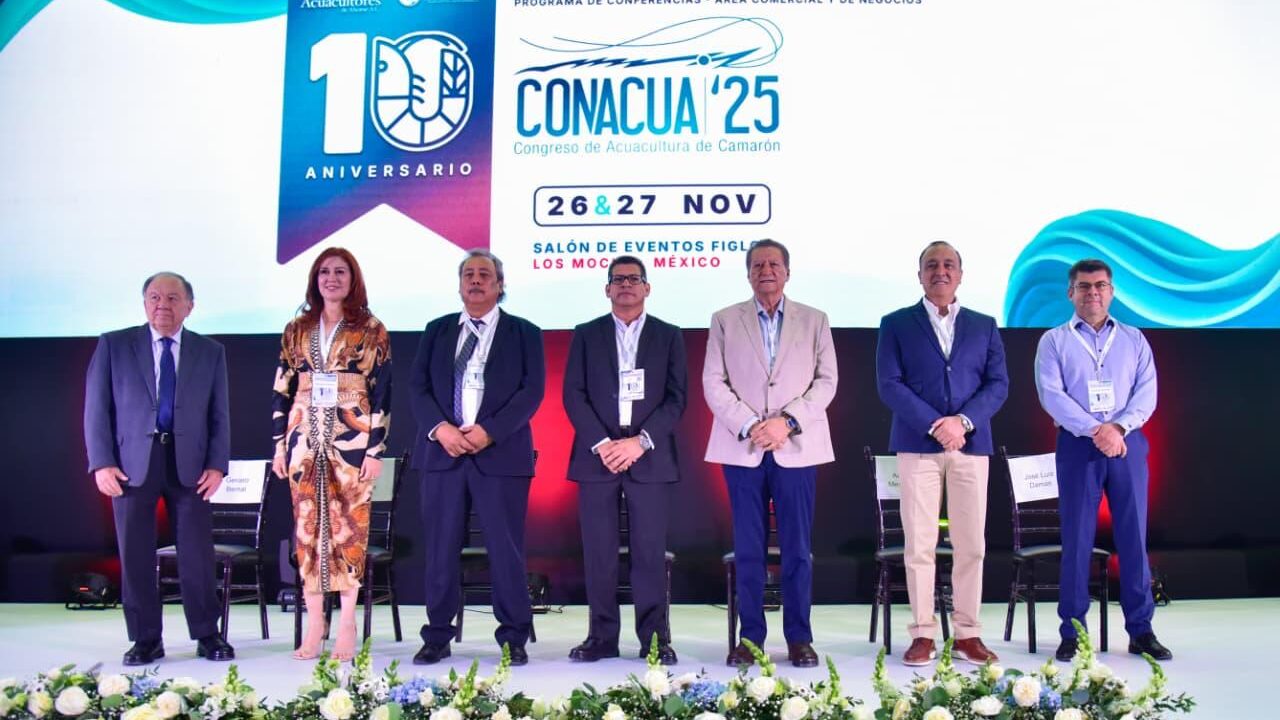 Ahome es el mejor productor de camarón de acuacultura de México