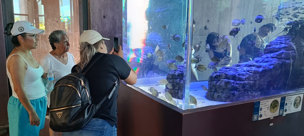 El Gran Acuario, referente turístico de Mazatlán
