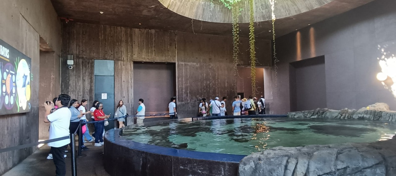 Mazatlán tiene el acuario más grande de Latinoamérica ¿Qué lo hace único?