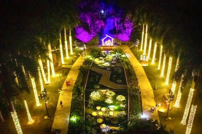 Un «Jardín de Luz» te espera en Navidad en el Botánico