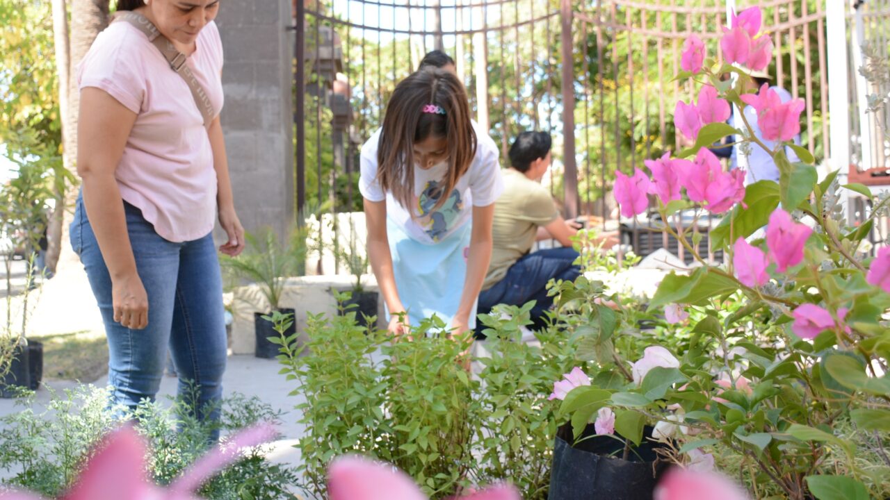 Parque Sinaloa te invita a su primer bazar de plantas del año