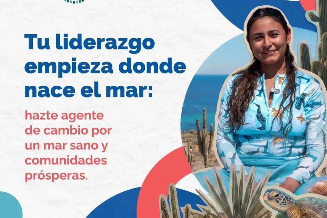 Jóvenes sinaloenses se prepararán para ser líderes en conservación en comunidades del Mar de Cortés
