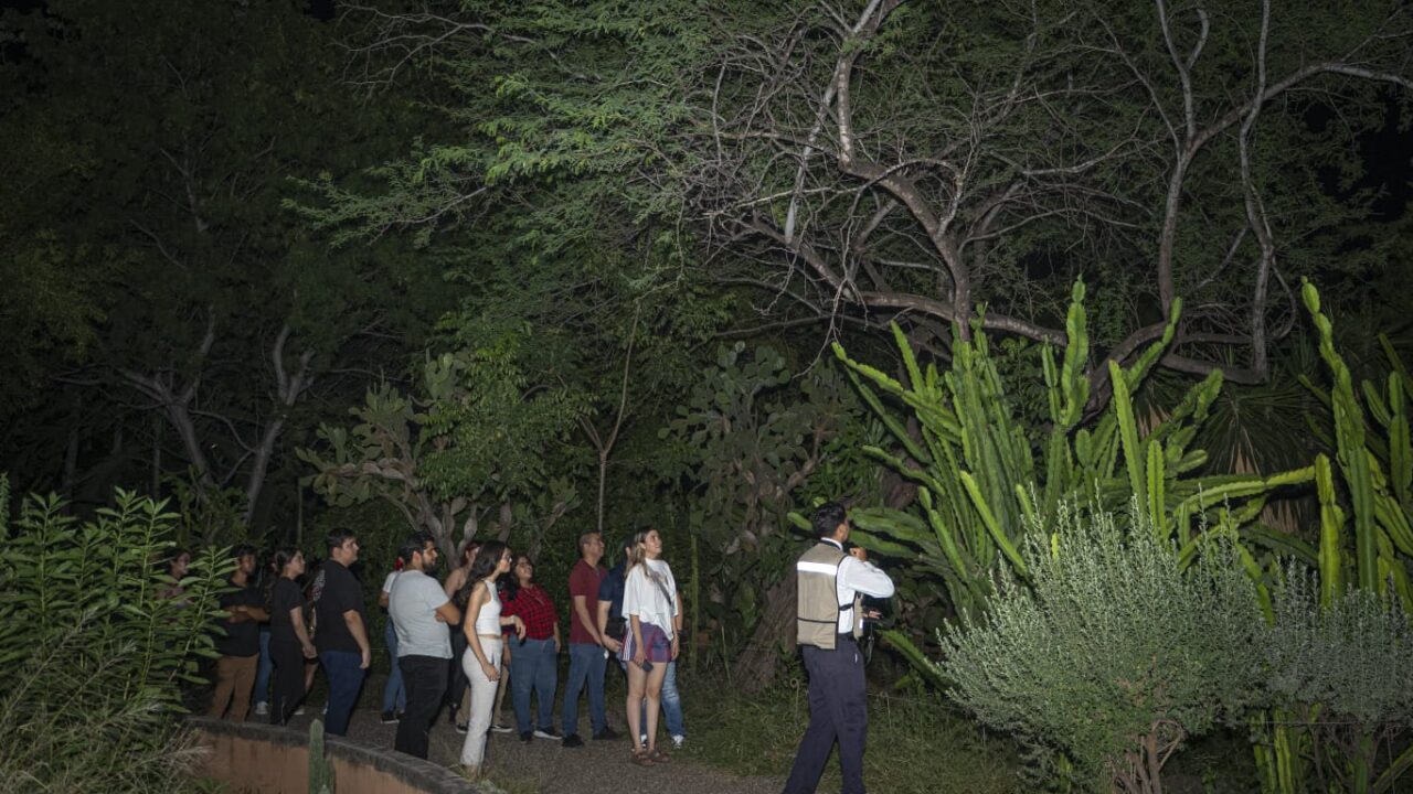 Taller de Pascua en Jardín Botánico Culiacán
