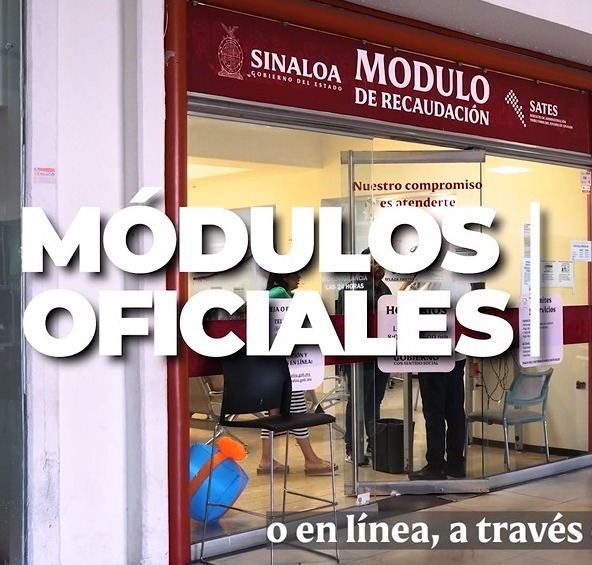 Licencia de conducir permanente en Sinaloa