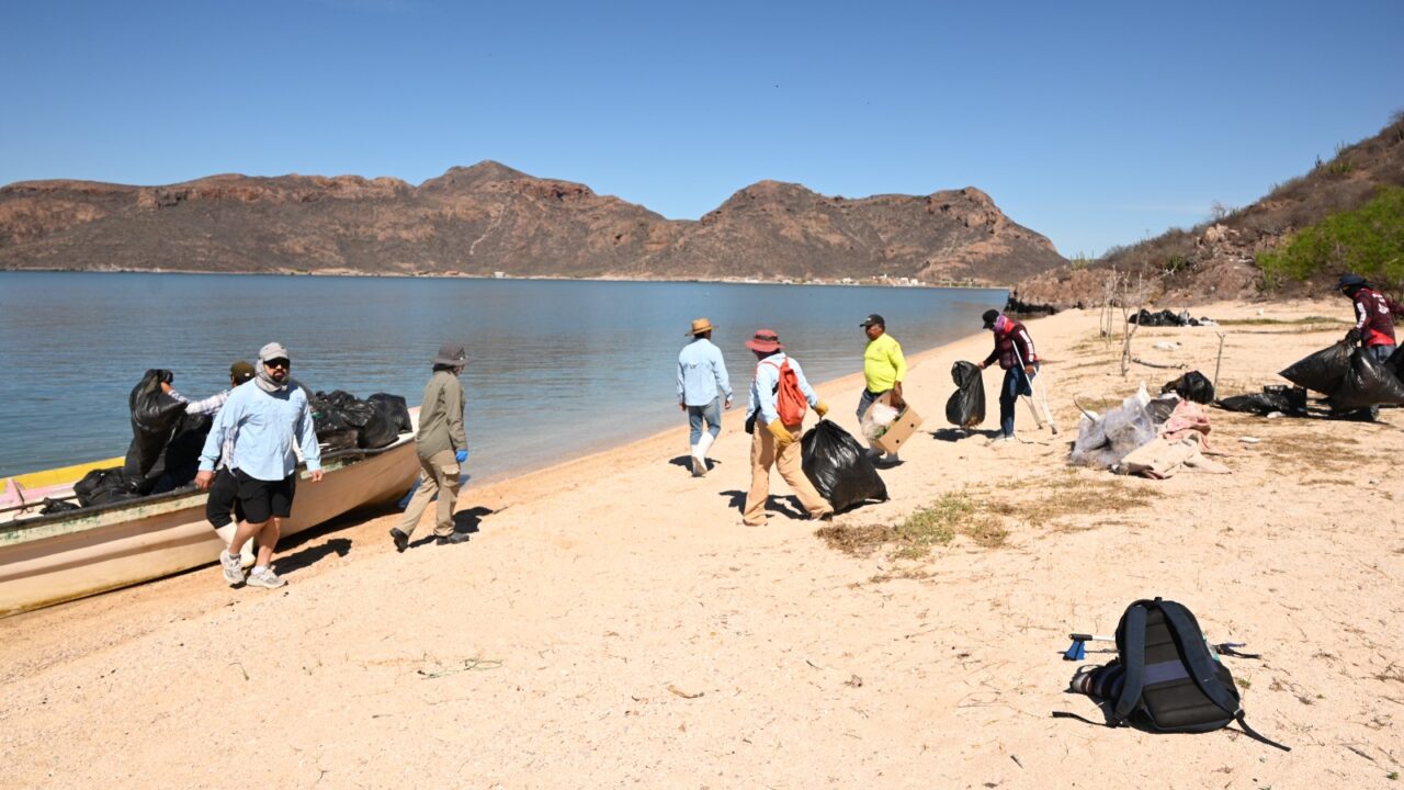 Autoridades Continúan jornada de limpieza en Islas y Playas de Juan José Ríos