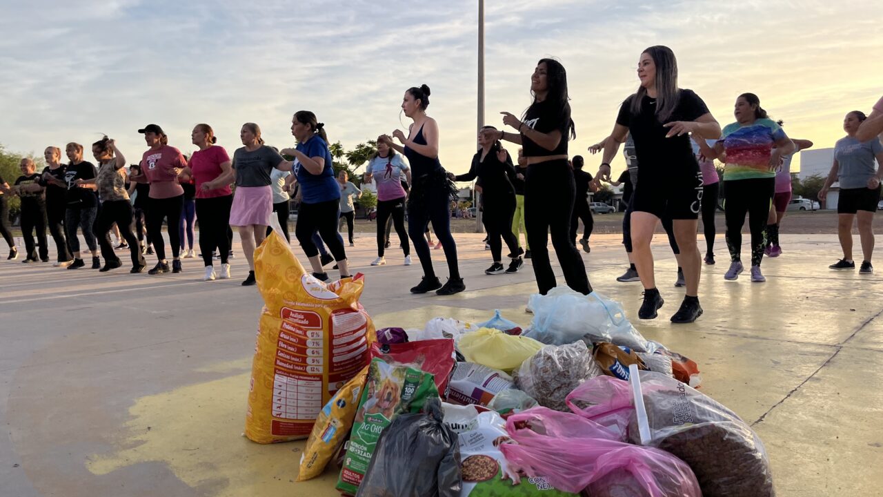 Zumba con causa recauda kilos  de croquetas para donar a perritos en situación de calle