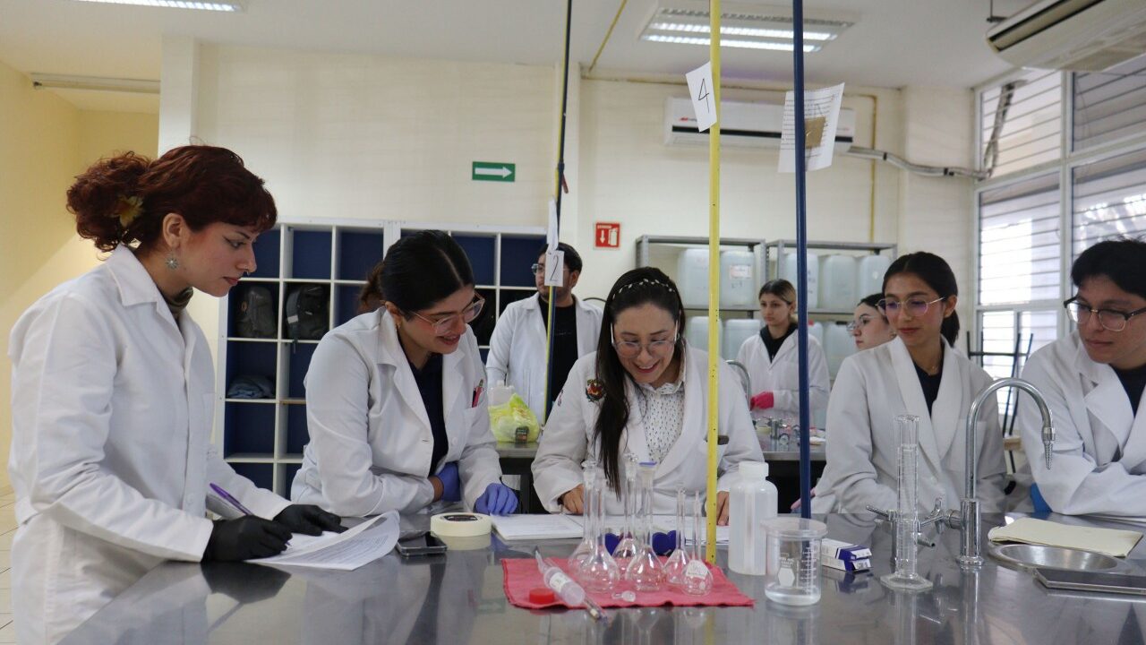 Investigadores de la UAS comprueban eficacia y seguridad de la medicina tradicional