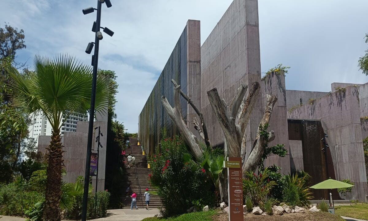 Gran Acuario Mazatlán, CIO y autoridades ambientales consolidan alianza por la vida silvestre con 1,000 rescates exitosos