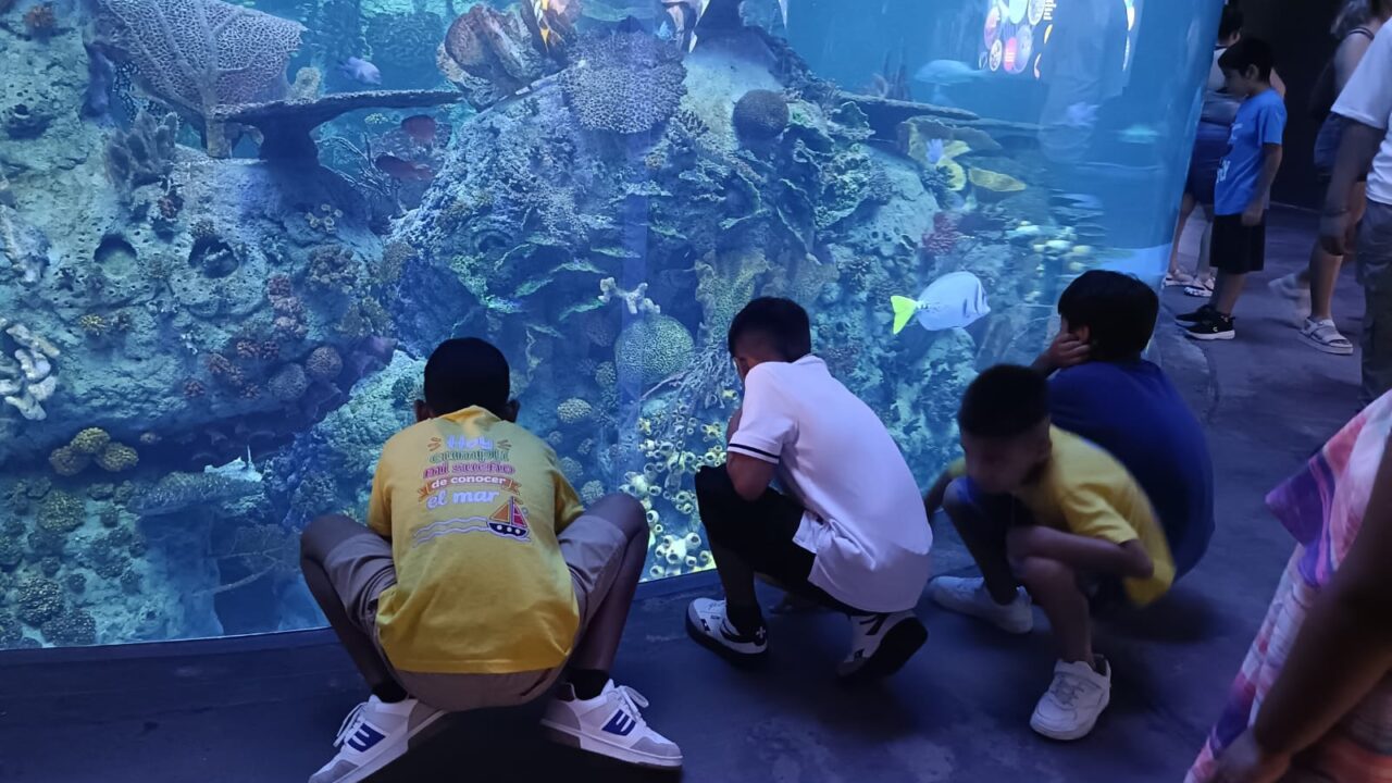 “Hoy cumplo mi sueño de conocer el mar”: 20 niños de La Laguna viven una experiencia inolvidable en Gran Acuario Mazatlán