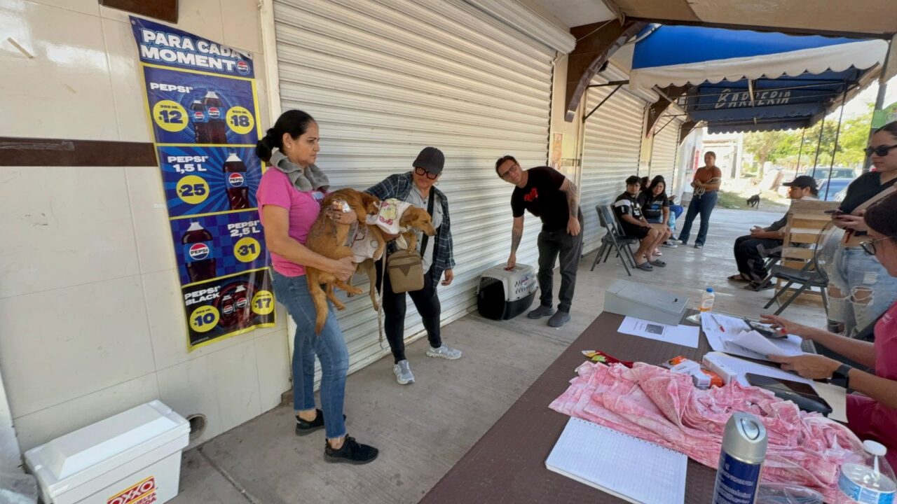 Suman 128 esterilizaciones gratuitas a través de ‘Navidad para Todos’