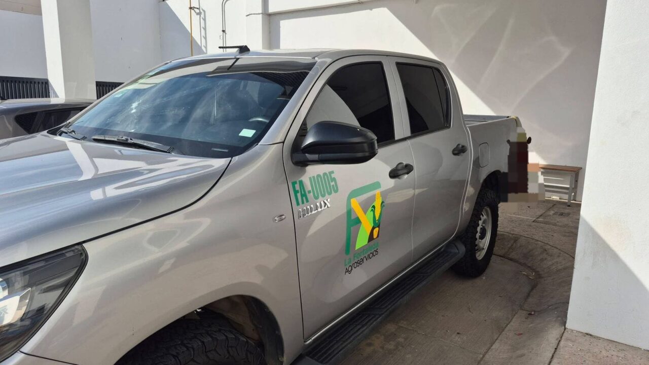 Alcalde lamenta caso de perrito colgado; Fiscalía confirma que no tienen denuncia