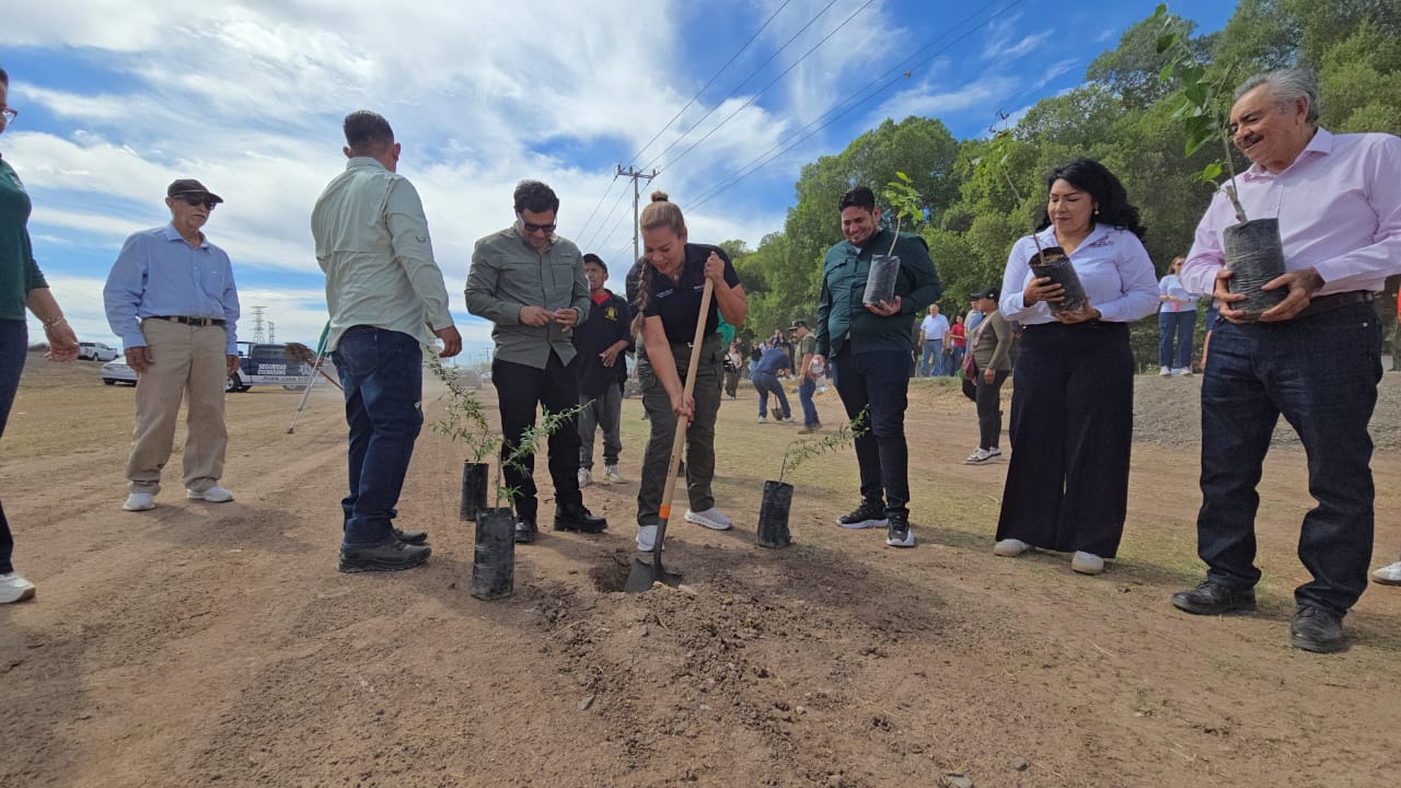 Inicia SEBIDES Jornada de Arborización en Juan José Ríos para embellecer espacios públicos y escuelas