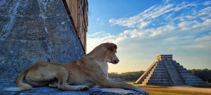 Despiden a “El Wero” y “Tomasita” los guardianes de Chichén Itzá