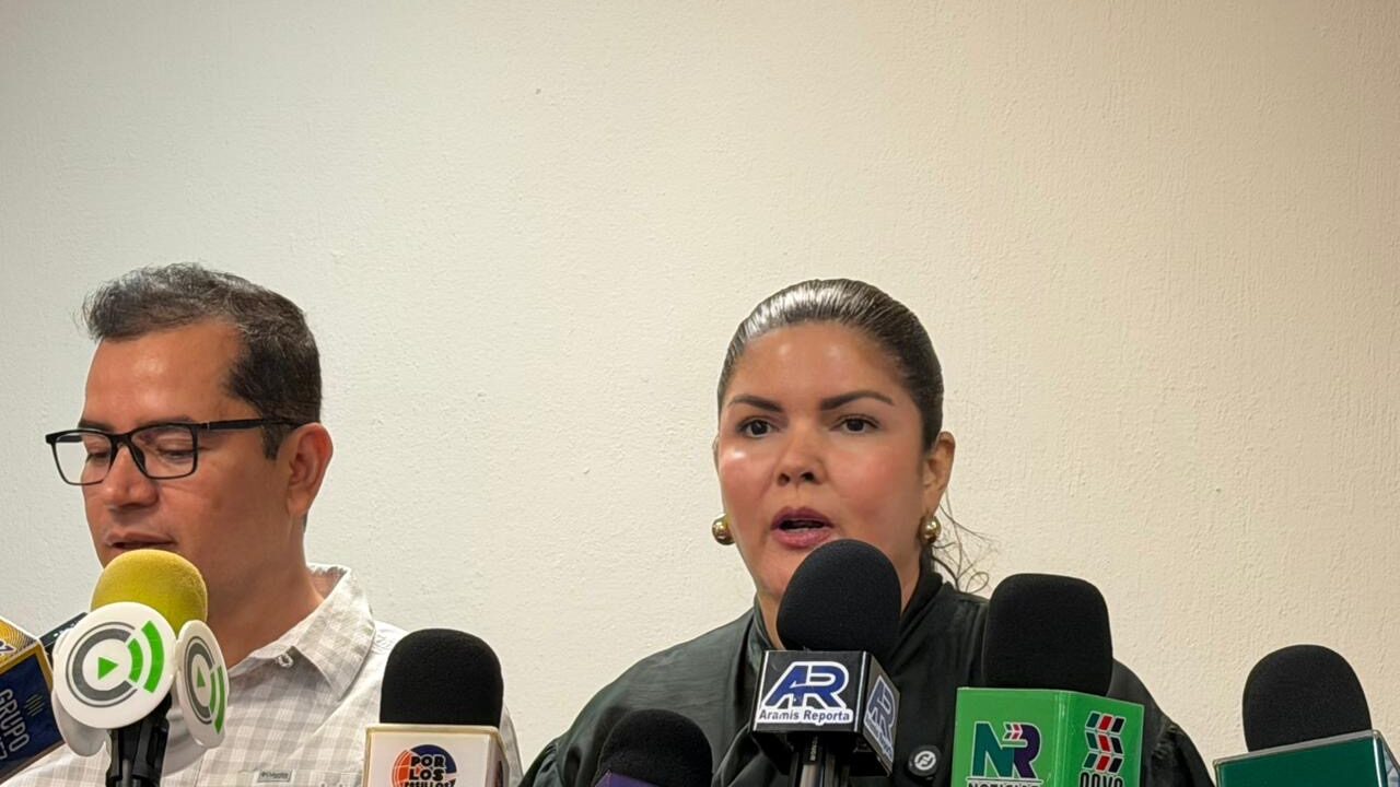 Morena investigará a sus aspirantes antes de otorgar candidaturas: Merary Villegas