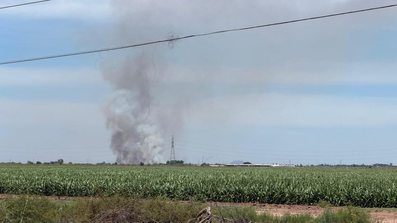 Protección Civil Ahome llama a evitar la quema de soca; advierten sanciones por contaminación y riesgo a comunidades