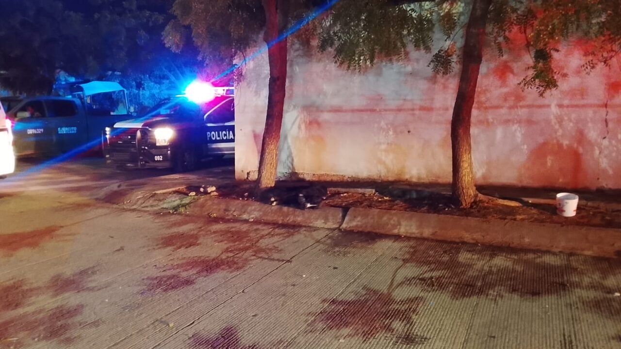 Fundación Balto y Togo denuncia a vecinos por muerte de perrito en Culiacán