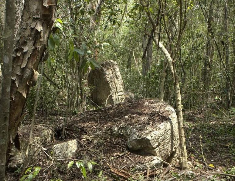 Descubren Minanbé, antigua ciudad maya intacta en la Reserva de la Biosfera Calakmul