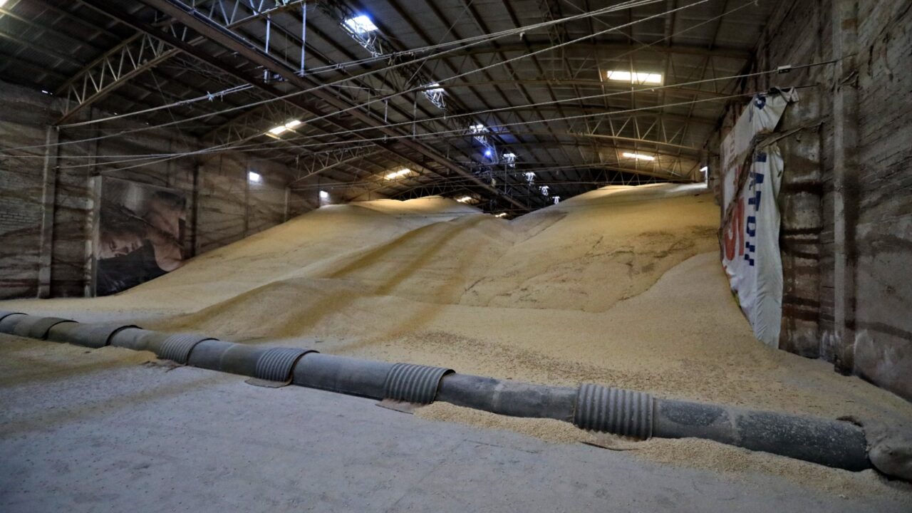 Amplía Gobierno de Sinaloa plazo de registro para apoyos a productores de maíz hasta el 17 de junio