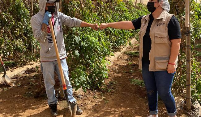 INEA brinda educación básica gratuita a 958 jornaleras y jornaleros agrícolas migrantes en México