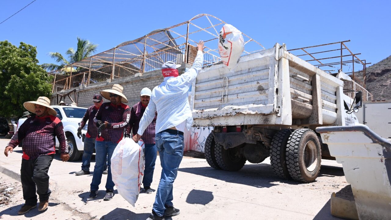 Conmemoran Día Mundial del Medio Ambiente con intensa jornada de limpieza en Isla de la Bahía de Navachiste