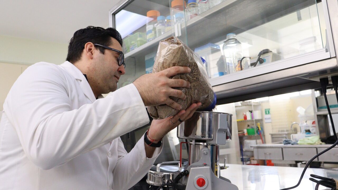 Investigador transforma el desperdicio de cerveza y orujo de oliva para combatir enfermedades crónicas como obesidad, diabetes e hipertensión