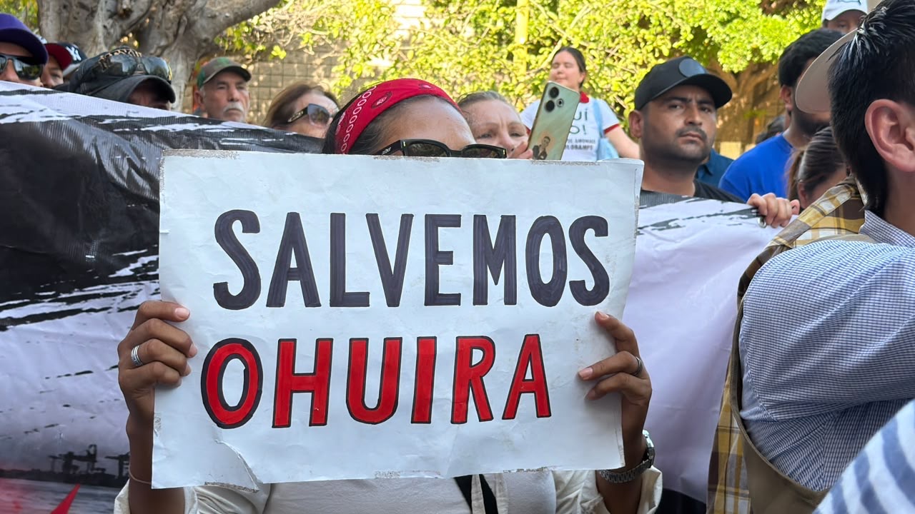 GPO sin concretar reunión solicitada por Greenpeace México
